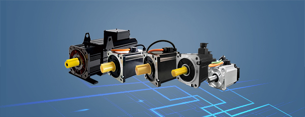 What are the reasons for the low insulation resistance of servo motors?